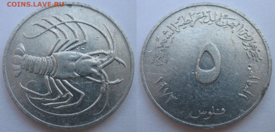 Йемен 5 филс 1973 г. Омар До 02.08.24 - Йемен 5 филс 1973 Омар.JPG