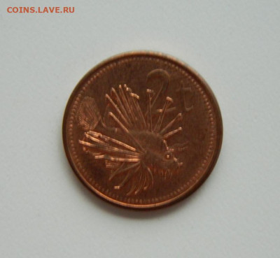 Папуа-Новая Гвинея 2 тойя 2002 г. (Фауна). до 04.08.24 - DSCN0387.JPG