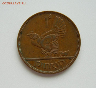 Ирландия 1 пенни 1965 г. (Фауна) Крупная! до 04.08.24 - DSCN0371.JPG