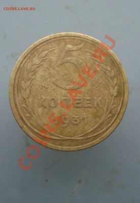 5 копеек 1931 до 22:00 26.01.12. - DSC00096.JPG