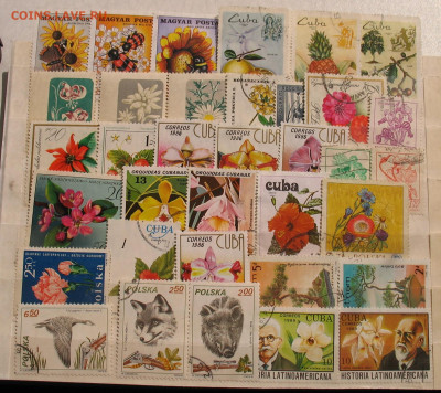 Марки мира  до 07.08.24г. 22.00ч. - м8