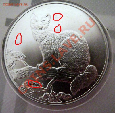 3 рубля 1995 года "Соболь" - Серебро - DSCF0954