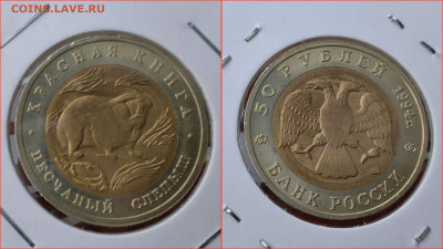 Фикс. Красная книга 1992-1994 годы. До 09.08 - IMG_20240730_112552