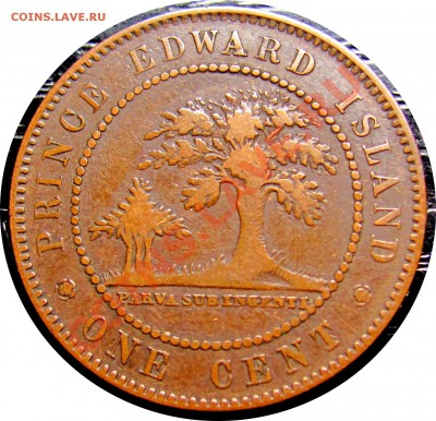 G31 Остров Принца Эдуарда 1¢ 1871 Fine до 29.01 в 22°° - G31 PEI Fine_2