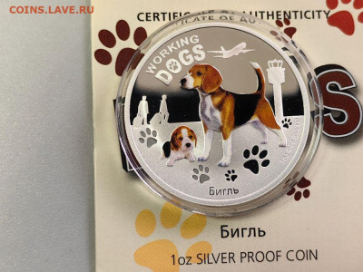 1дол 2011 Тувалу - Бигль, Ag999, до 13.08 - Я Собаки Бигль-2