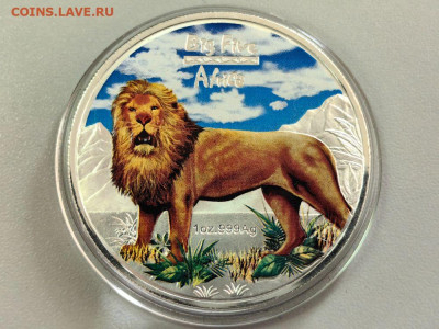 Конго 240 франков 2008 Лев Ag999, до 13.08 - ЯЯ Афр.5-ка Лев-1