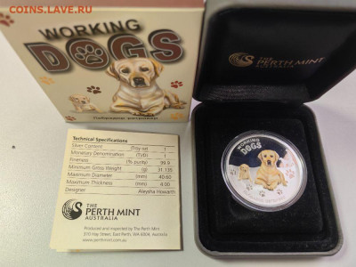 1дол 2011 Тувалу - Лабрадор Ретривер, Ag999, до 13.08 - ЯЯ Собаки Лабрадор-1