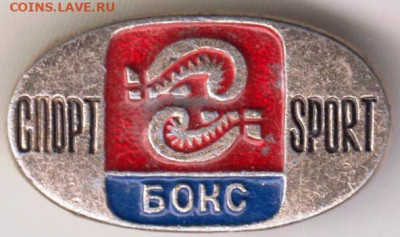24 г. в 23.00 - 021