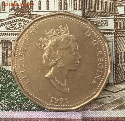 Канада 1 доллар 1995 до 13.08.24 в 22.00 - IMG_E9769.JPG