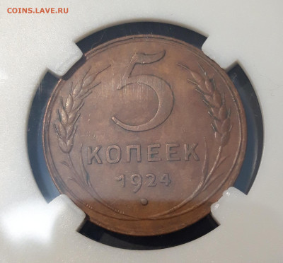 5 КОПЕЕК 1924 год. ПРЕКРАСНЫЙ ДОМАШНИЙ СОХРАН! До 14.08 - 20240807_233924