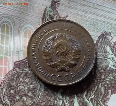 5 копеек 1931. До 16.08.24 в 22.00 - 20240811_130821
