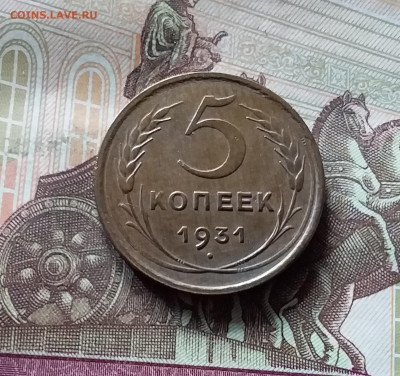5 копеек 1931. До 16.08.24 в 22.00 - 20240811_130800