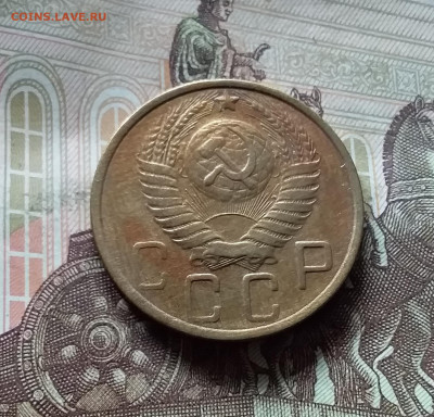 5 копеек 1952. До 16.08.24 в 22.00 - 20240811_132007