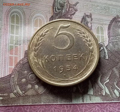 5 копеек 1954. До 16.08.24 в 22.00 - 20240811_132420