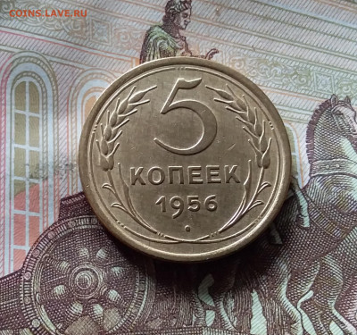 5 копеек 1956. До 16.08.24 в 22.00 - 20240811_132846