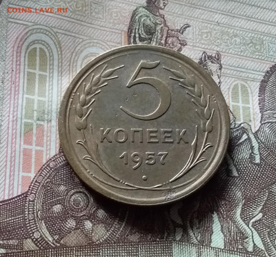 5 копеек 1957. До 16.08.24 в 22.00 - 20240811_133126