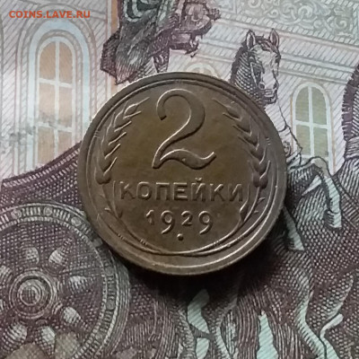 2 копейки 1929. До 16.08.24 в 22.00 - 20240811_151015