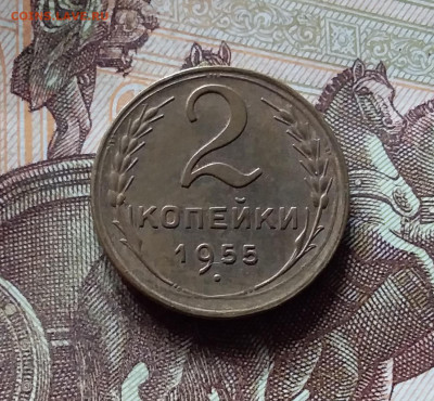 2 копейки 1955. До 16.08.24 в 22.00 - 20240811_164759