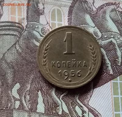 1 копейка 1956. До 16.08.24 в 22.00 - 20240811_182930