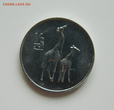2 чон 2002 г. (Юбилейная) Жираф до 17.08.24 - DSCN1672.JPG