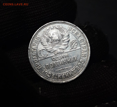 ПОЛТИННИК 1927 года. До 18.08 - 20240808_233434