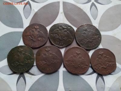 1 копейка 1831 СМ, 7 штук до 16.08.2024 - 1831 (38)
