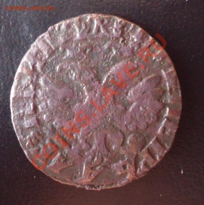 денга 1704г в звоне, не гнилая - DSC02974_cr