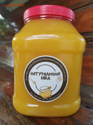 Мед 3 л 2024г., окончание 16.08.2024 22:00 - Мед 2