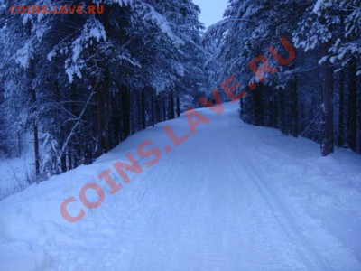 ФОТО - просто фото. Те что получились удачными. - DSC02776.JPG
