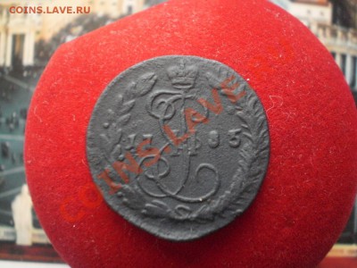 ДЕНГА 1785 км ПРОДАМ. - P1220044.JPG