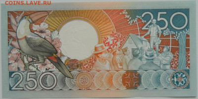 Суринам 250 гульденов 1988 г. до 22.08.24 - DSCN0570.JPG