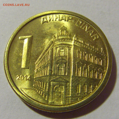 1 динар 2014 Сербия №1 22.08.2024 22:00 МСК - CIMG1205.JPG