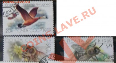 Меняю марки или продаю - Фауна СССР 2.JPG