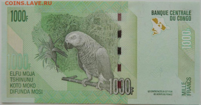 Конго 1000 франков 2022 г. до 24.08.24 - DSCN0591.JPG