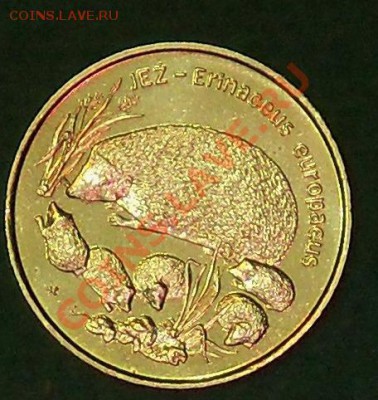 Польша 2 злотых 1996 Ежиха до 30.01 21-00-00 МСК - е11.JPG