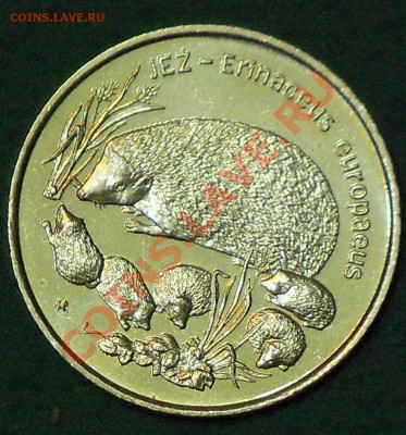 Польша 2 злотых 1996 Ежиха до 30.01 21-00-00 МСК - е13.JPG