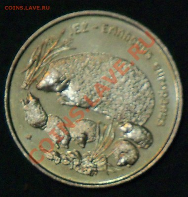 Польша 2 злотых 1996 Ежиха до 30.01 21-00-00 МСК - л13.JPG