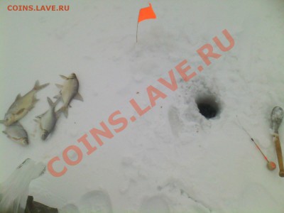 СТРАНИЧКА РЫБАКА - IMG0066A
