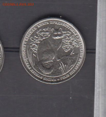 ПМР 2020 1р кошка до 27 08 - 61