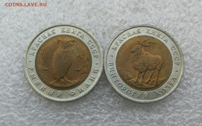 5 руб 1991г КК Козёл и филин до 26.08 в 22-00 - IMG_20240821_185749