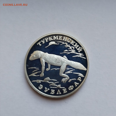 1 рубль 1996 г Туркменский эублефар. ПРУФ - IMG_20240822_130521