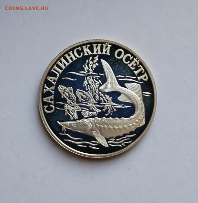 1рубль 2001 Сахалинский осетр ПРУФ - IMG_20240822_131413