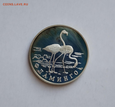 1рубль 1997 Фламинго ПРУФ - IMG_20240822_133018