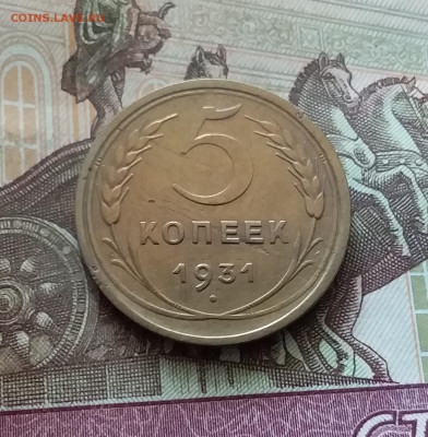 5 копеек 1931. До 26.08.24 в 22.00 - 20240822_145606