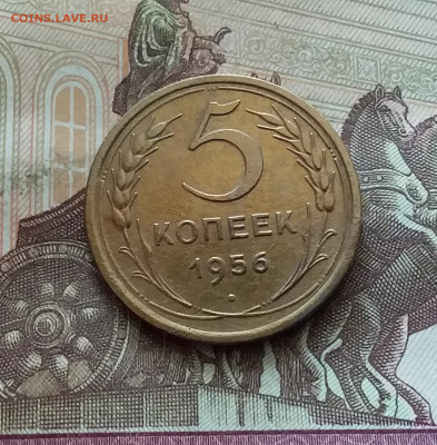 5 копеек 1956. До 26.08.24 в 22.00 - 20240822_150319