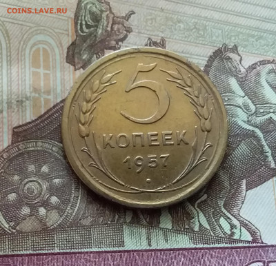 5 копеек 1957. До 26.08.24 в 22.00 - 20240822_150540