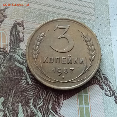 3 копейки 1937. До 26.08.24 в 22.00 - 20240822_181009