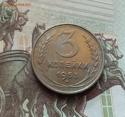 3 копейки 1953. До 26.08.24 в 22.00 - 20240822_183033