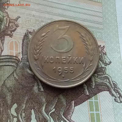 3 копейки 1955. До 26.08.24 в 22.00 - 20240822_183306