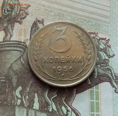 3 копейки 1956. До 26.08.24 в 22.00 - 20240822_193158